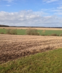 Cena orné půdy, cena pozemku