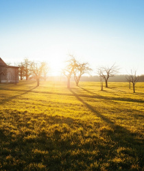 Vynětí ze zemědělského fondu