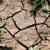 Na boj proti suchu 8 miliard Kč