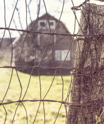 Jakou vzdálenost od hranice pozemku dodržet při stavbě domu nebo sázení rostlin?