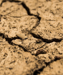 Dokdy a jak žádat o dotaci na zmírnění škod způsobených suchem v roce 2017?